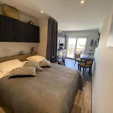 Rénové Avec Clim Et Wifi Au Port De L'aiguillon Pour 2 - Fr-1-474-214 Appartement Arcachon