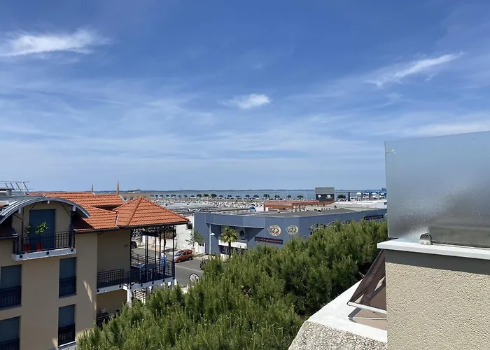 Apartment Renove Avec Clim Et Wifi Au Port De L'aiguillon Pour 2 - Fr-1-474-214 Arcachon